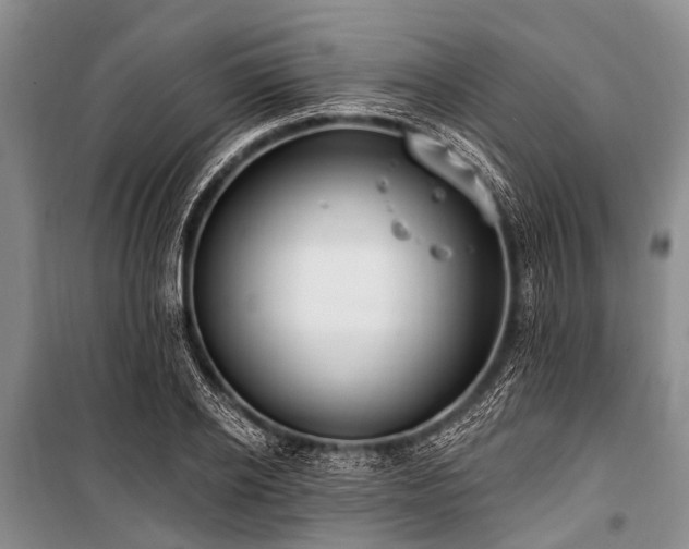 X0000101150934200806270940