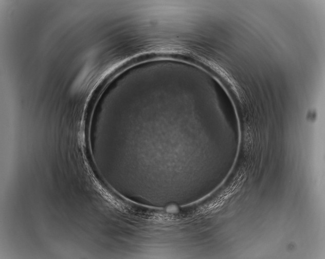 X0000101150935200806270940