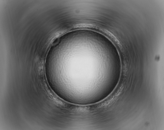 X0000101150937200806270940