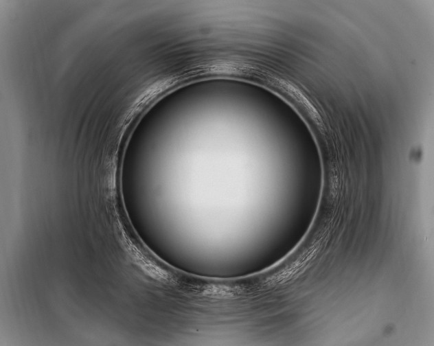 X0000101150938200806270940