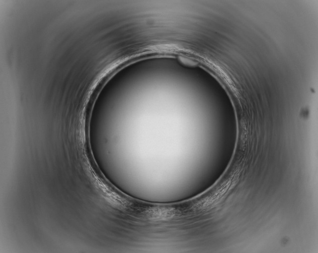 X0000101150939200806270940