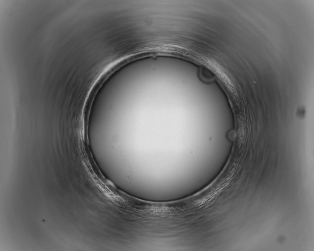 X0000101150940200806270940