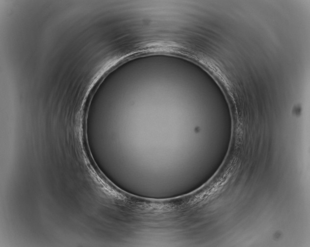 X0000101150941200806270940