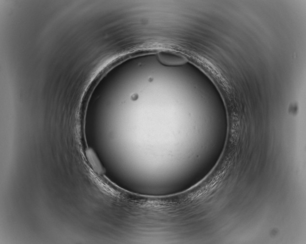 X0000101150942200806270940