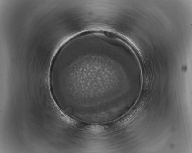 X0000101150943200806270940