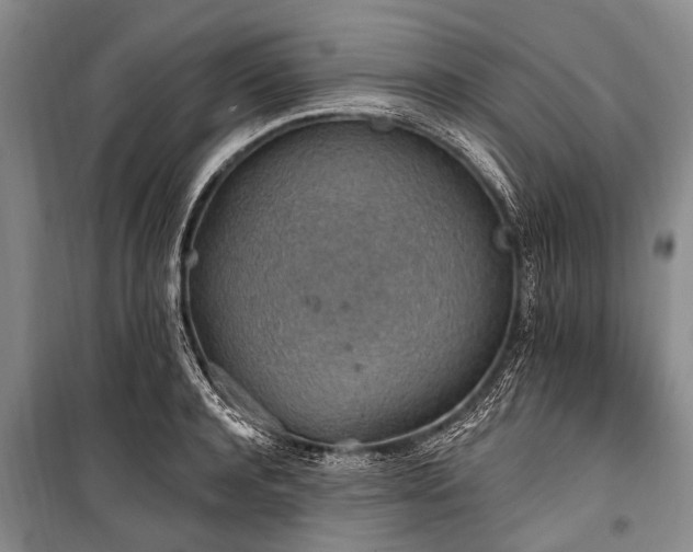 X0000101150944200806270940