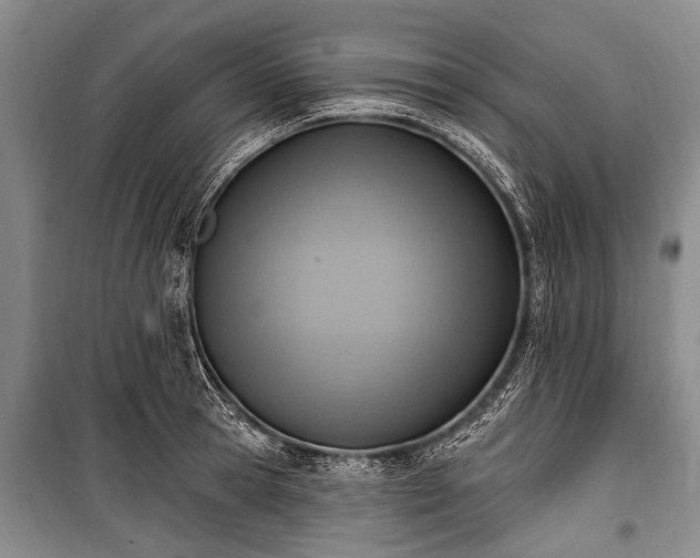 X0000101150945200806270940