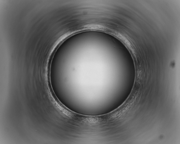 X0000101150947200806270940