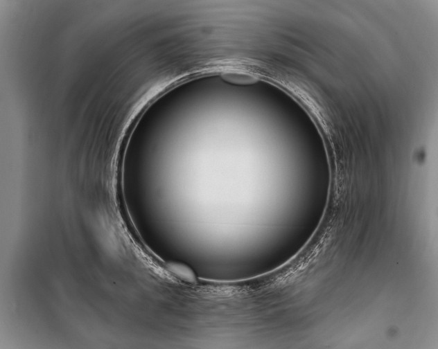 X0000101150949200806270940