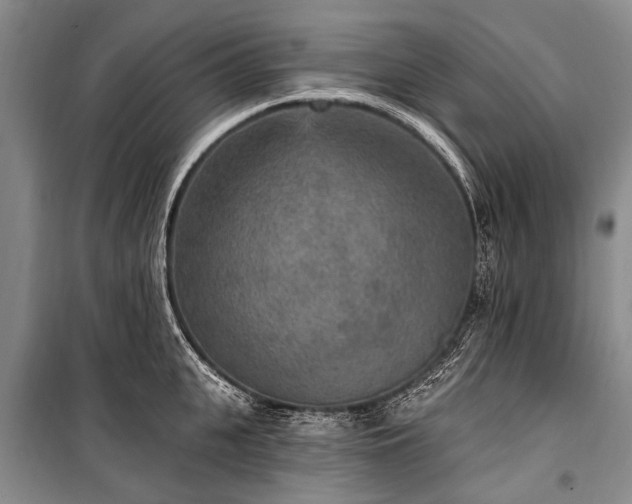 X0000101150951200806270940