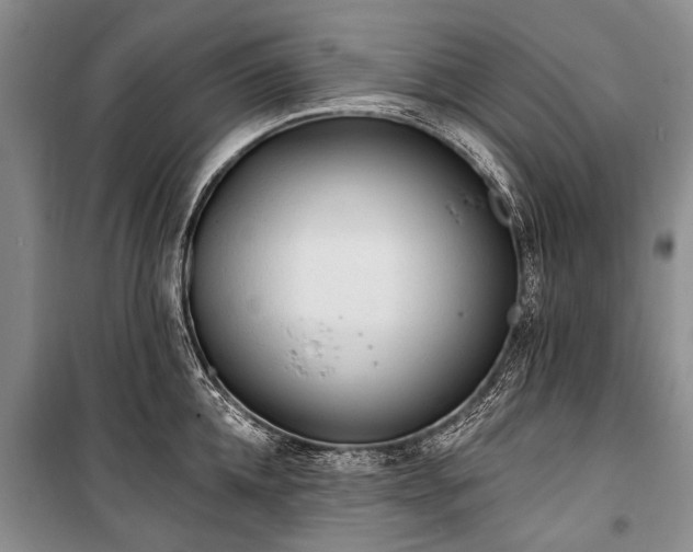 X0000101150952200806270940