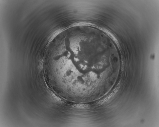 X0000101150953200806270940
