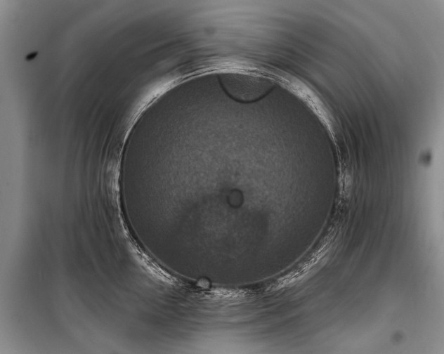 X0000101150954200806270940