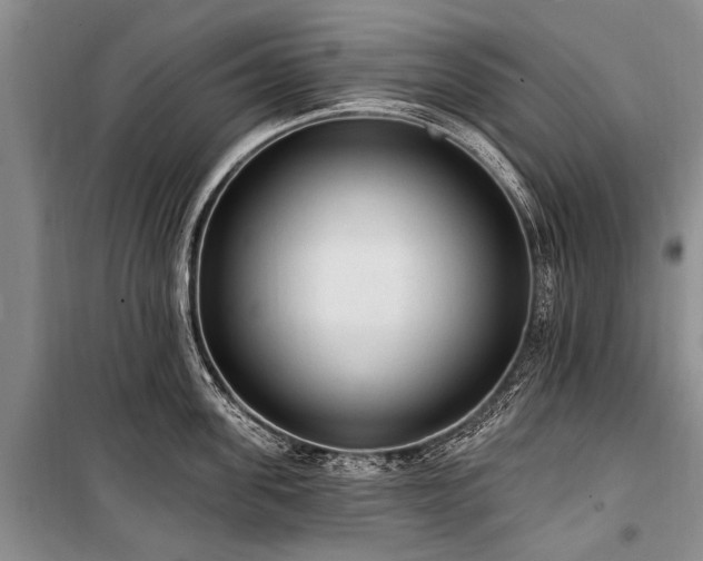 X0000101150955200806270940