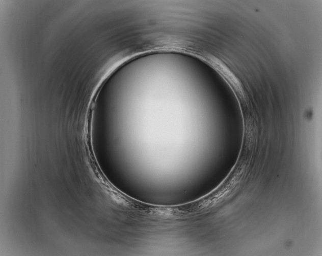 X0000101150956200806270940