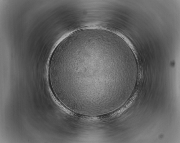 X0000101150957200806270940