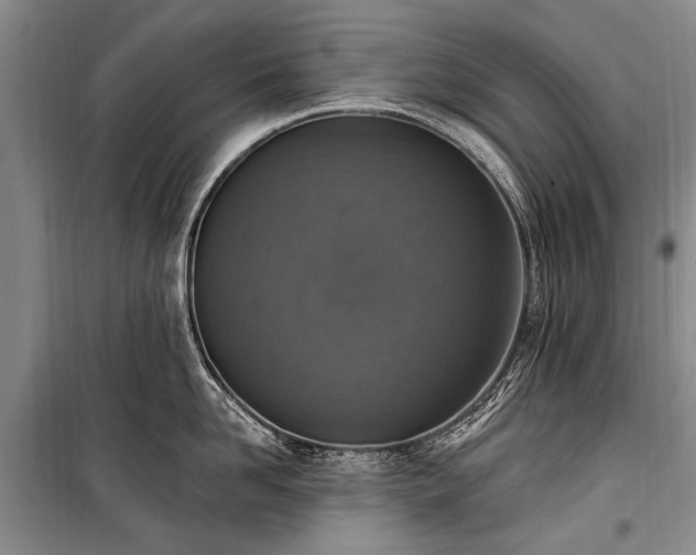 X0000101150958200806270940