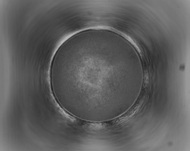 X0000101150959200806270940