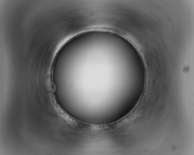 X0000101150960200806270941