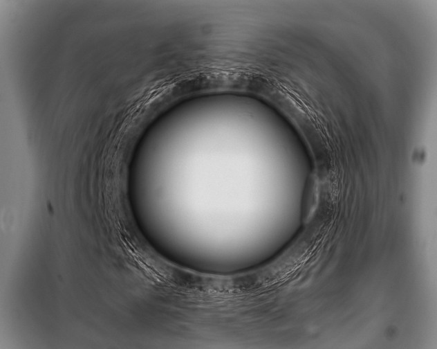 X0000101150961200806270940