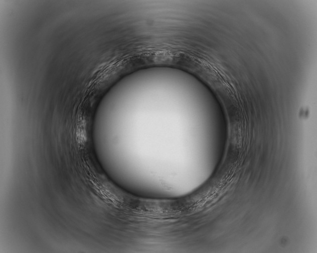 X0000101150962200806270940