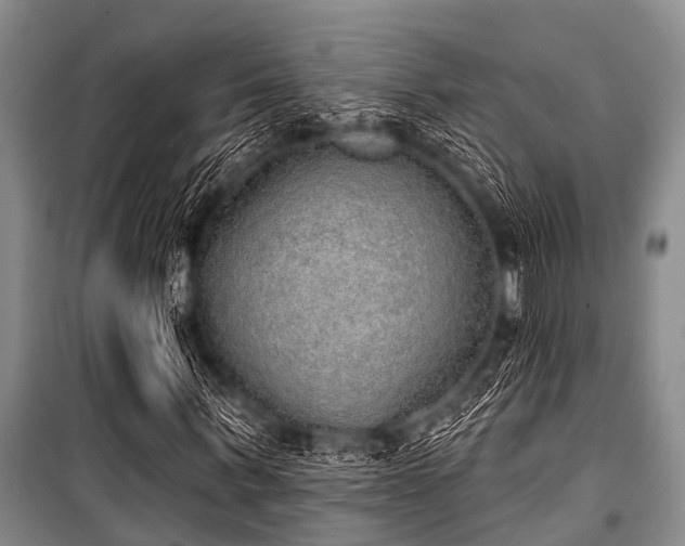 X0000101150963200806270940