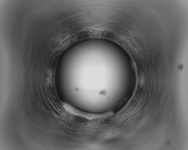 X0000101150964200806270940