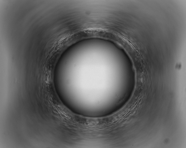 X0000101150965200806270940