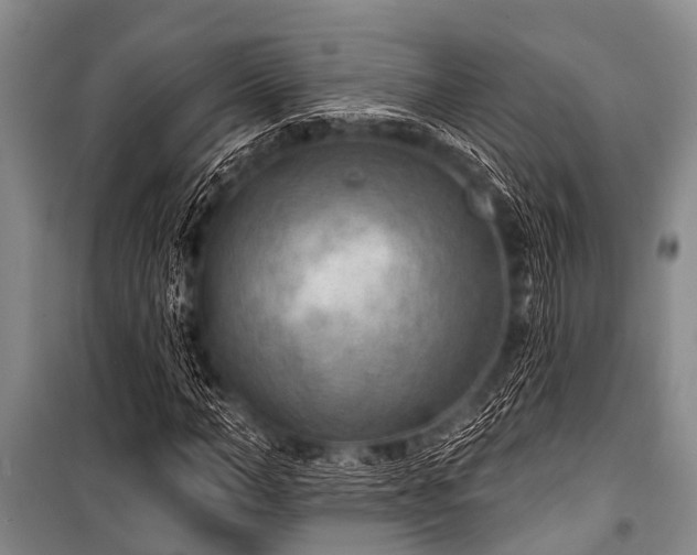 X0000101150966200806270940