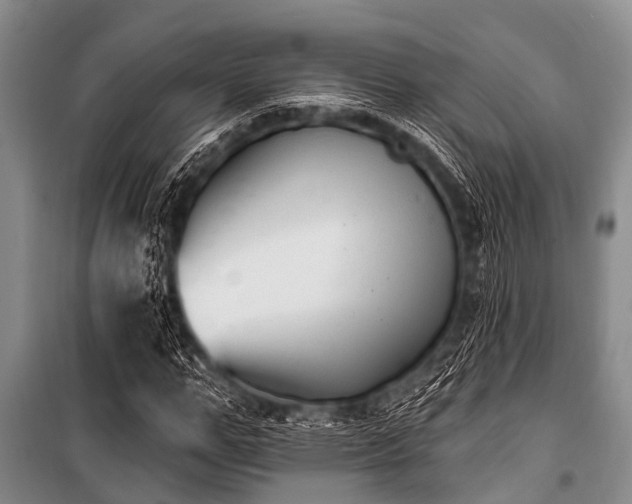 X0000101150967200806270940