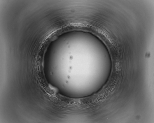 X0000101150968200806270940