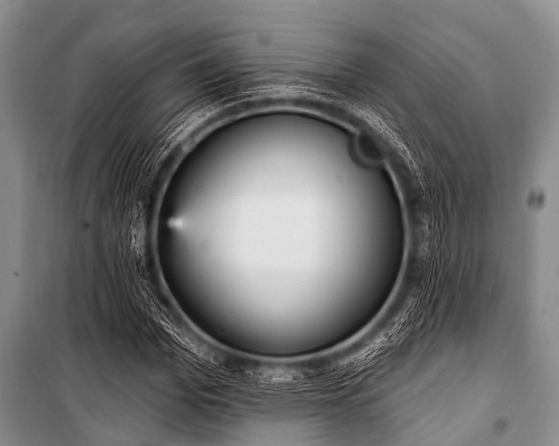 X0000101150969200806270940