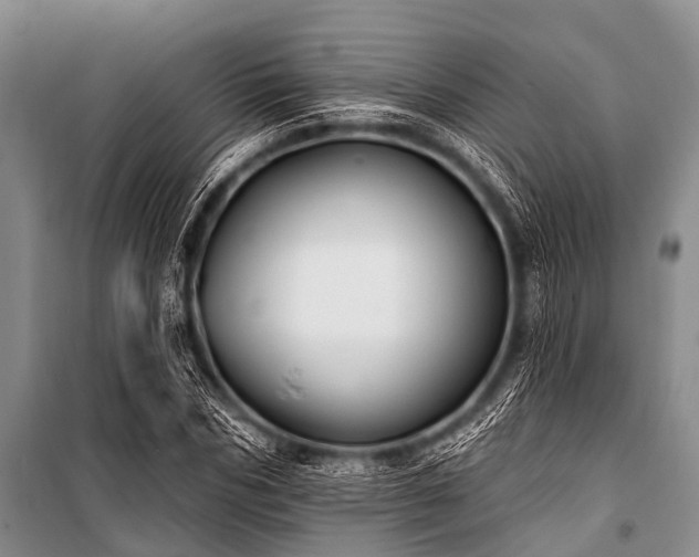 X0000101150970200806270940