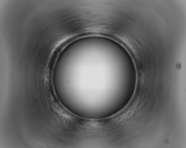 X0000101150971200806270940