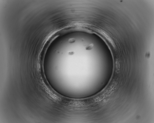 X0000101150972200806270940