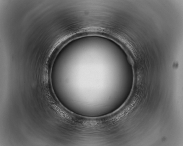 X0000101150973200806270940