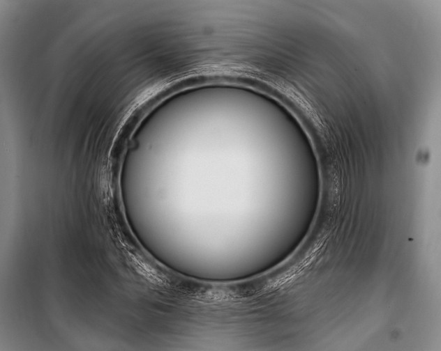 X0000101150974200806270940