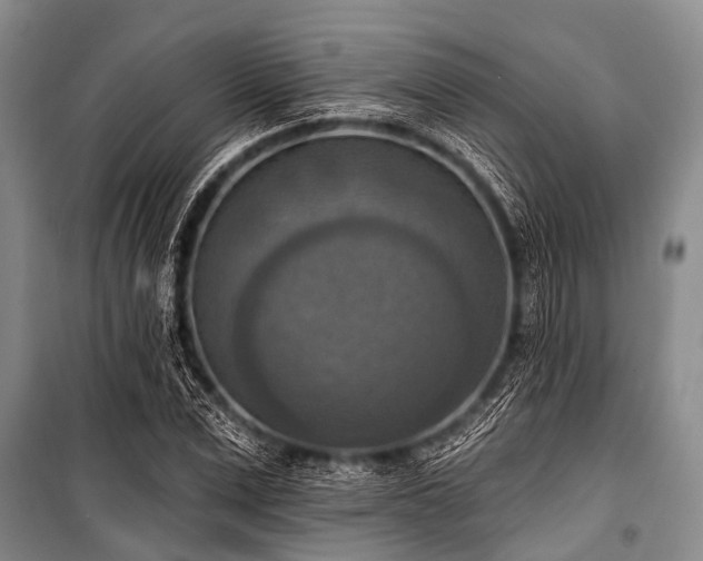 X0000101150975200806270940