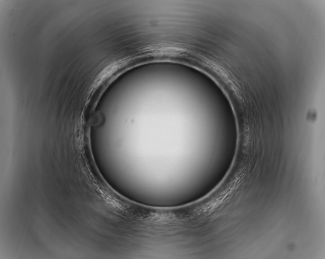 X0000101150978200806270940