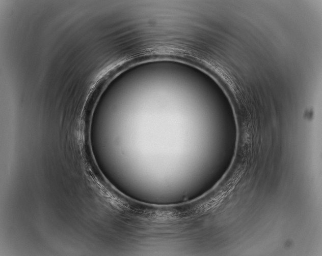 X0000101150979200806270940