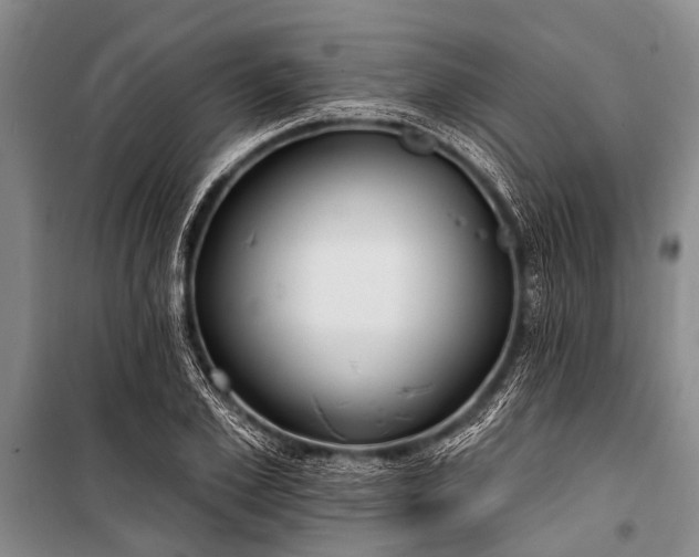 X0000101150981200806270940