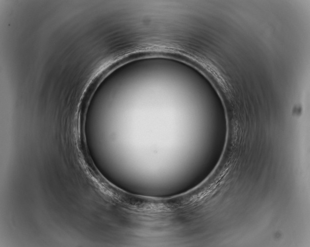 X0000101150982200806270940