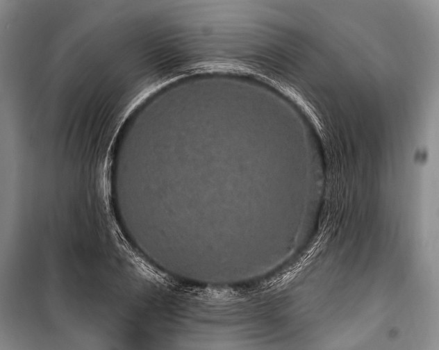 X0000101150983200806270940