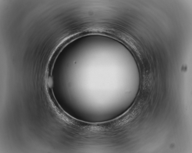 X0000101150984200806270940