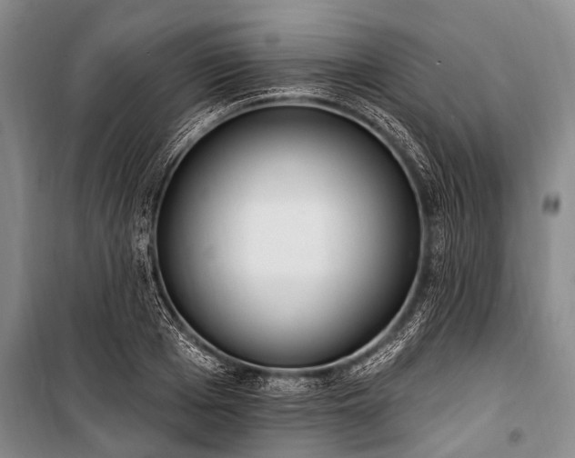X0000101150985200806270939