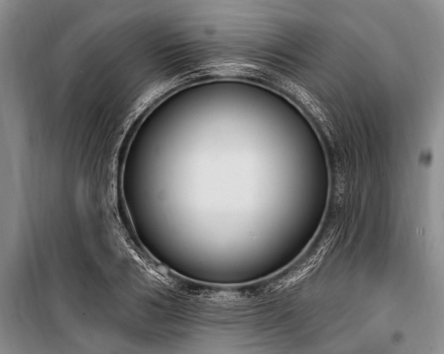 X0000101150986200806270939