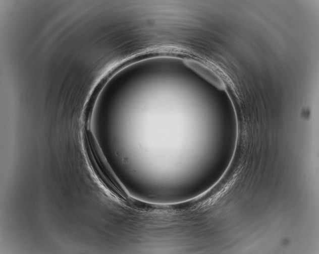 X0000101150989200806270939