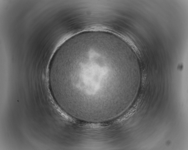 X0000101150990200806270939