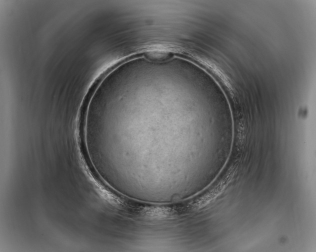 X0000101150991200806270939