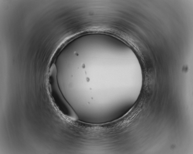 X0000101150992200806270939